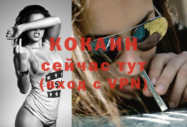 спиды Нея