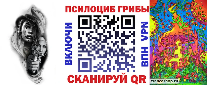 где купить наркоту  площадка как зайти  Псилоцибиновые грибы мицелий  Сосновоборск 